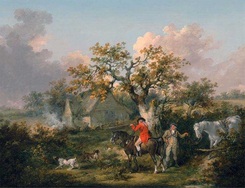 Partridge Shooting